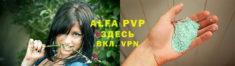 закладки  Вязники  Alfa_PVP СК 