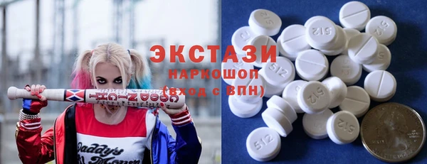 ECSTASY Богданович